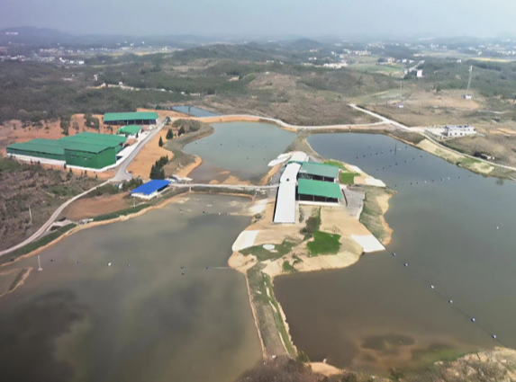 【视频】春耕备耕正当时 板桥镇:社会化服务全覆盖 巧解“谁来种地”之困