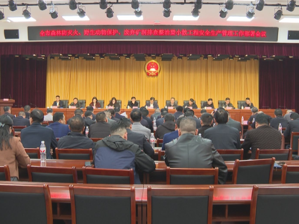 【视频】常宁市召开森林防灭火 野生动物保护 废弃矿硐排查整治暨小散工程安全生产管理工作部署会议