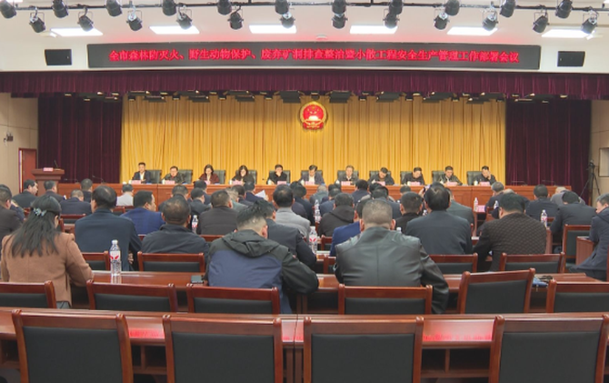 【视频】常宁市召开森林防灭火 野生动物保护 废弃矿硐排查整治暨小散工程安全生产管理工作部署会议