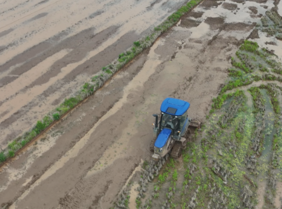 【视频】开局八好 乘势而上丨柏坊镇： 机械化春耕跑出“加速度”