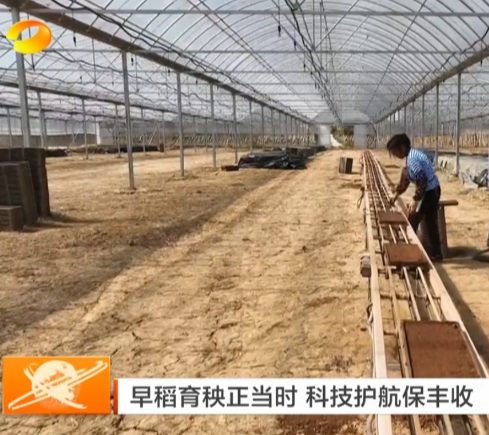 《湖南新闻联播》报道常宁新闻《春耕备耕正当时 板桥镇：社会化服务全覆盖 巧解“谁来种地”之困》