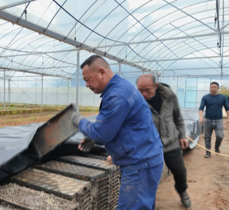 【视频】开局八好 乘势而上丨罗桥镇：科技抢春  跑出春耕“加速度”