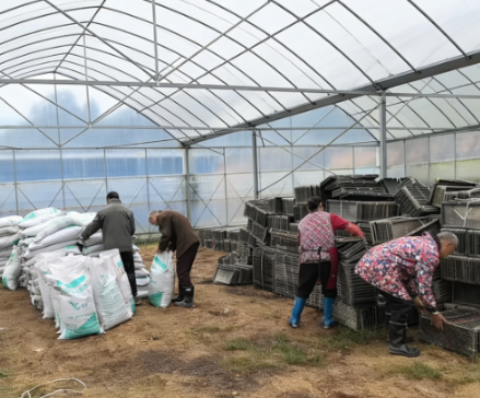 开局八好 乘势而上丨庙前镇:集体耕种破难题“五个统一”保粮安