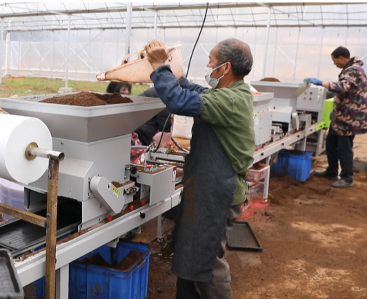 开局八好 乘势而上丨洋泉镇：社会化服务“赋能”春耕 筑牢丰产根基