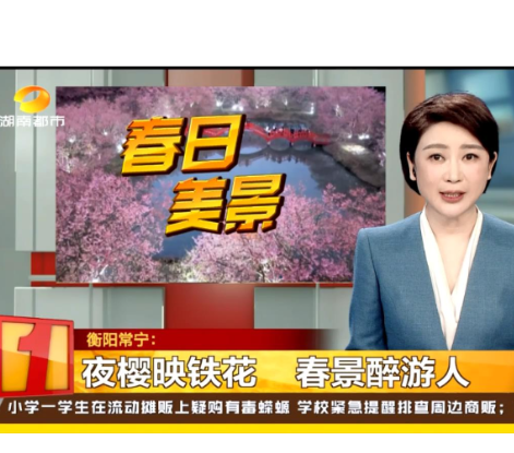 《湖南都市》报道常宁新闻《湖南常宁:夜樱映铁花 春日盛宴醉游人》