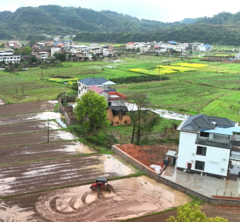 开局八好 乘势而上丨兰江乡：推行“六统一”模式 让早稻生产“跑起来”