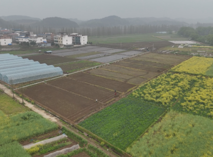 三角塘镇长江村:共享菜园盘活闲置地 农旅融合点燃春日经济