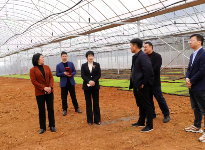 【视频】王一花到大堡乡开展“最是乡音解乡愁”民情大走访活动