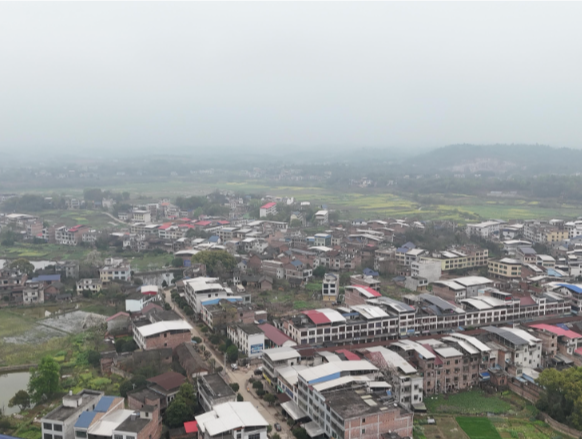 【视频】最是乡音解乡愁（297）胡军平：“身入”更要“心至”