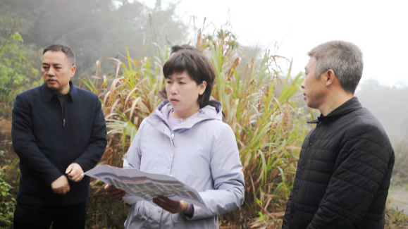 邓艳红督导环保工作