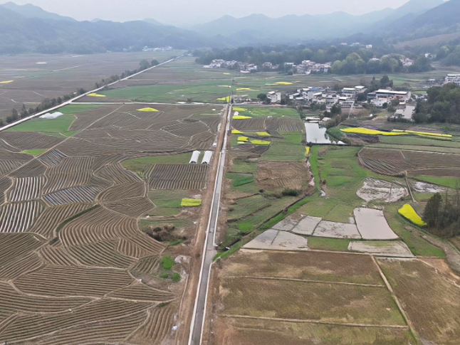 常宁：高标准农田建设全面铺开 以“民心工程”筑牢粮食安全根基