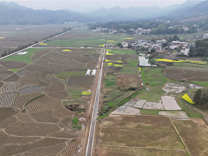 常宁:高标准农田建设全面铺开 以“民心工程”筑牢粮食安全根基
