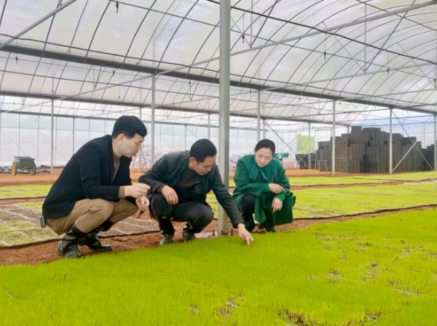 【视频】段鸣到柏坊镇督导春耕生产及当前重点工作