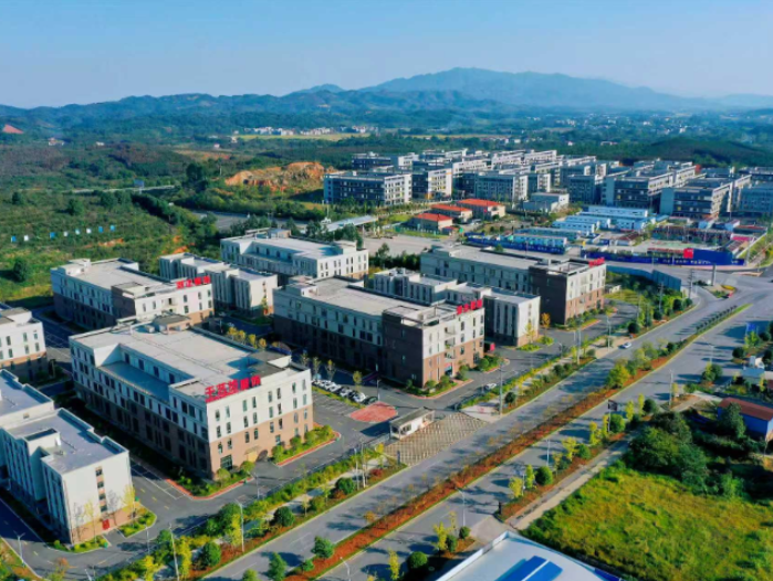 常宁:抓实外资工作 以高水平开放赋能高质量发展