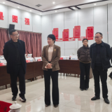 【视频】王一花检查市十八届人大七次会议筹备工作