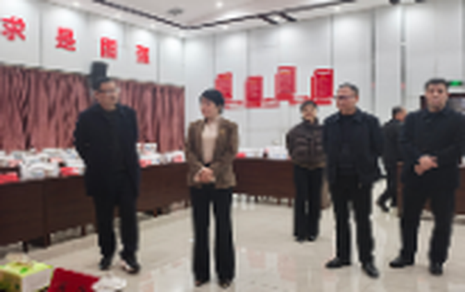 【视频】王一花检查市十八届人大七次会议筹备工作