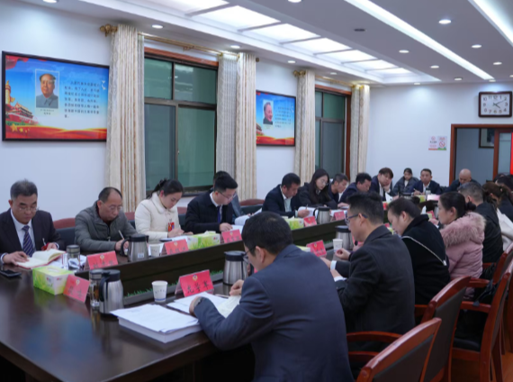 【视频】建真言 谋实招 出席常宁市政协十一届六次会议的委员开展分组讨论