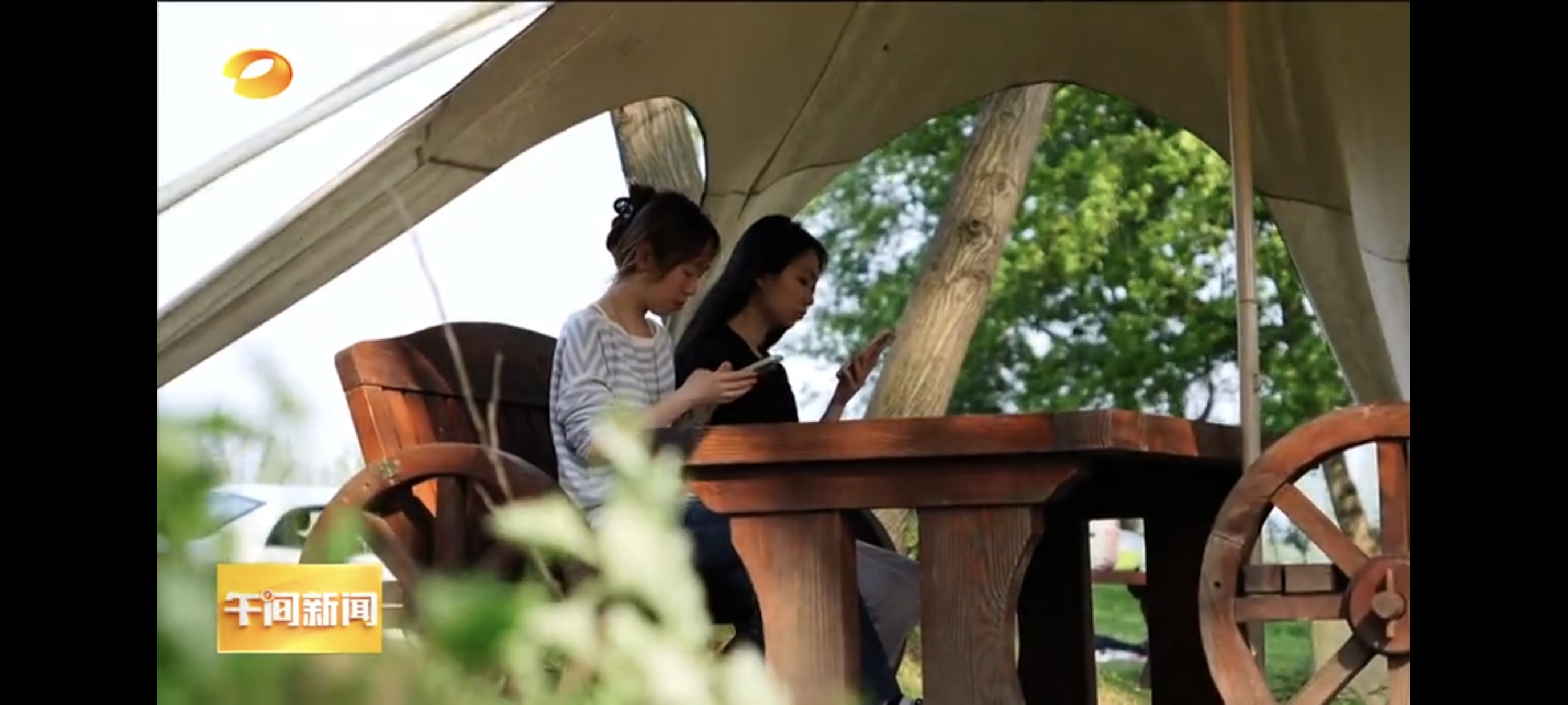 卫视报道常宁1.jpg 卫视报道常宁1.jpg