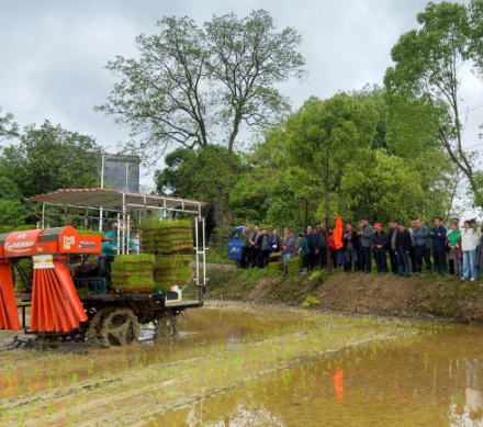 曲潭街道:抓实技术培训 强化农业生产业务能力