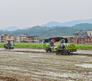 罗桥镇：党建领航抢农时，“三架”引擎促春耕