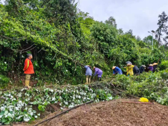 曲潭街道长塘村：冒雨清渠解民忧 长效管护促振兴