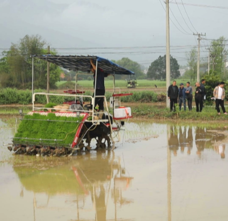 【视频】开局八好 乘势而上丨常宁：培训办到田头 确保8万亩机插机抛任务顺利完成
