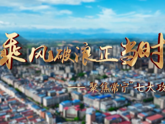 【视频】常宁 “多产齐飞” 密码何在?“政策 + 科技 + 产业链 ”解锁!