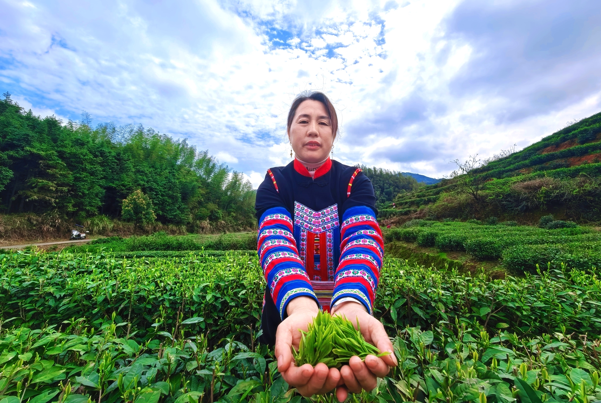 微信图片_20260409083144_3019_22_看图王.jpg 微信图片_20260409083144_3019_22_看图王.jpg