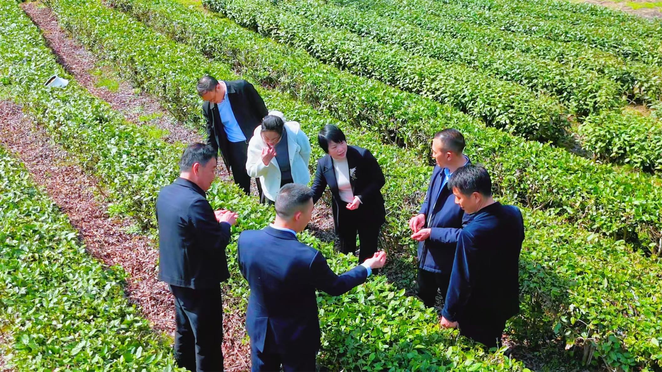 微信图片_20260409090634_297_160(1).jpg 微信图片_20260409090634_297_160(1).jpg