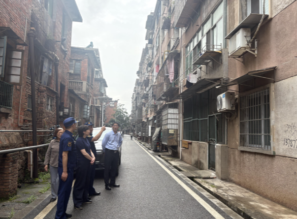 邓艳红到水口山镇调研信访、安全生产和城市管理一体化工作