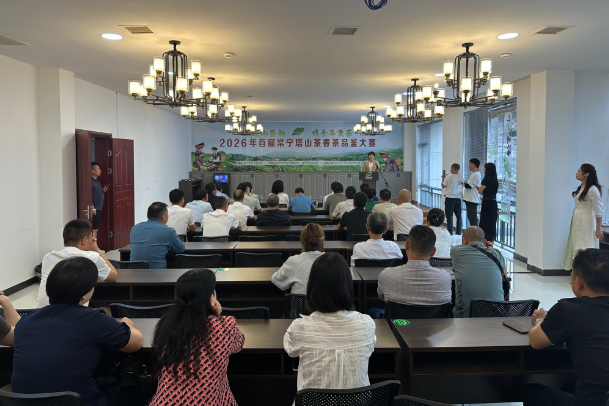 【视频】常宁举办首届塔山茶春茶品鉴大赛 推动茶产业高质量发展