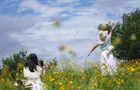 【视频】初夏寻芳！常宁北互通藏绝美花海