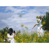 【视频】初夏寻芳！常宁北互通藏绝美花海