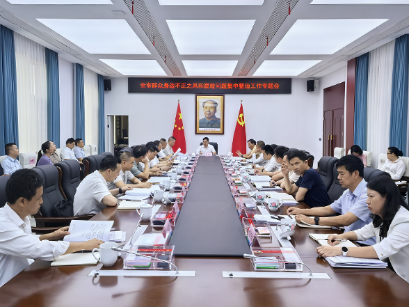 全市群众身边不正之风和腐败问题集中整治工作专题会召开