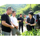 贵州贵茶集团来常调研茶产业高质量发展