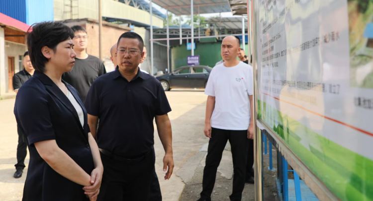邓艳红调研省生态环境保护督察“回头看”信访交办件办理和突出生态环境问题整改工作