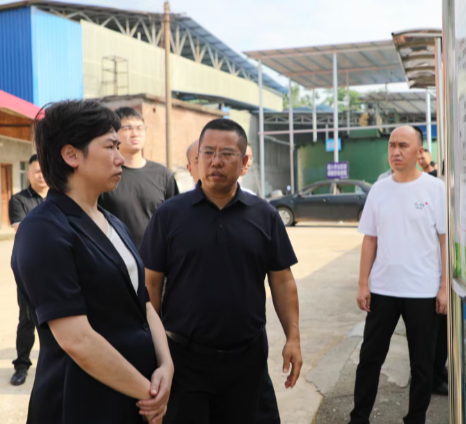 邓艳红调研省生态环境保护督察“回头看”信访交办件办理和突出生态环境问题整改工作
