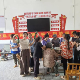庙前镇:党群连心“粽”是情 安全守护万家宁