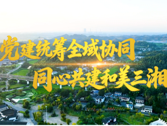 党建统筹全域协同 同心共建和美三湘