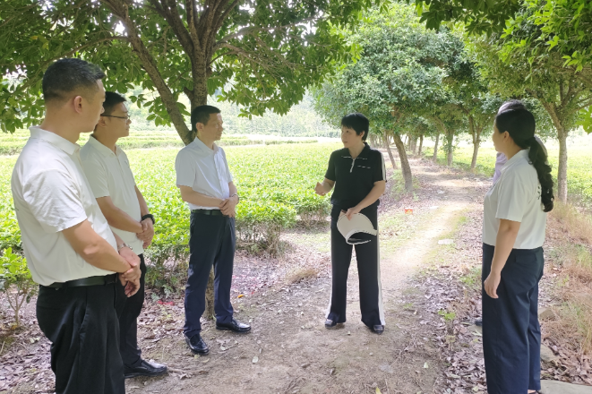 王一花赴洋泉镇调度省级农业产业强镇申报工作