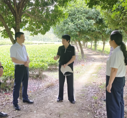 王一花赴洋泉镇调度省级农业产业强镇申报工作