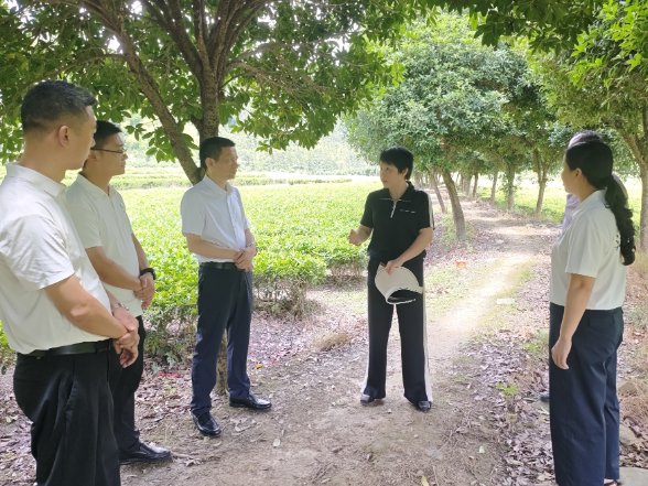 王一花赴洋泉镇调度省级农业产业强镇申报工作