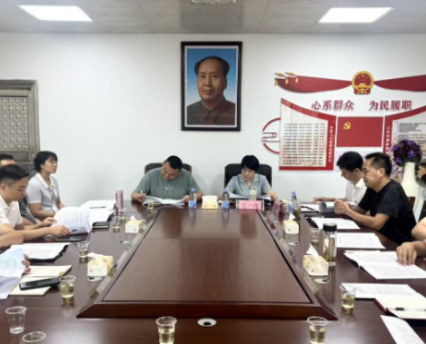 王一花到大堡乡就党代会工作报告征求意见