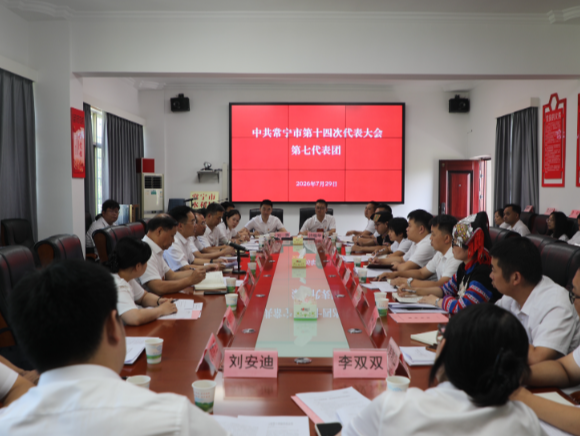 罗卫华参加市第十四次党代会第七代表团讨论
