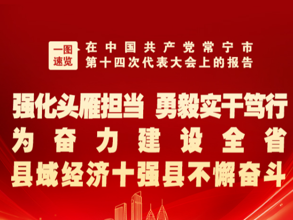 一图速览丨中国共产党常宁市第十四次代表大会报告