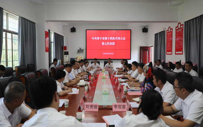 罗卫华参加市第十四次党代会第七代表团讨论