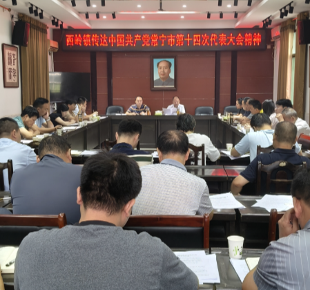 贯彻落实党代会精神丨西岭镇:对标对表抓落实 六项举措促发展