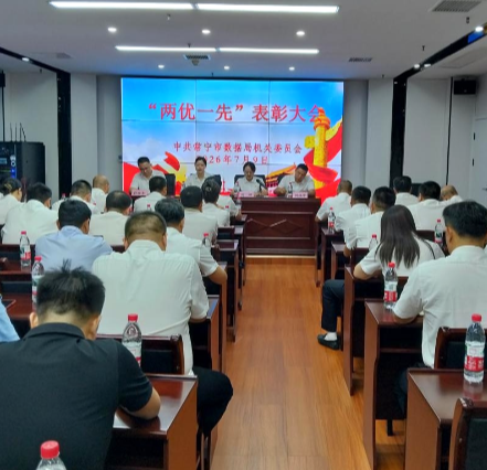常宁市数据局召开“两优一先”表彰大会