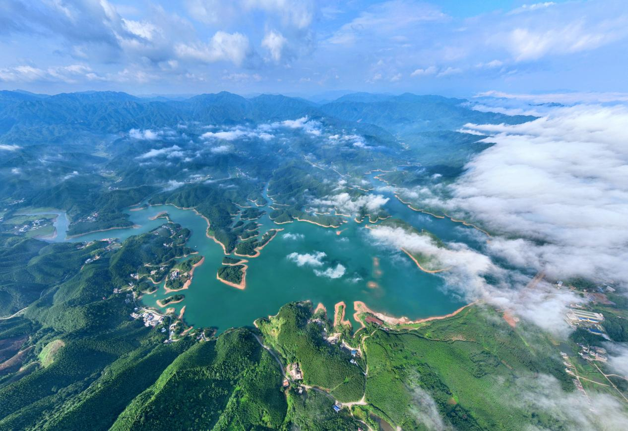 图片1.png 图片1.png