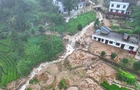 迎战台风"沙德尔"丨塔山瑶族乡：风雨中逆行 提前转移守平安